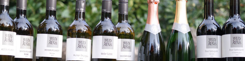 Weingut-aenis-weine5